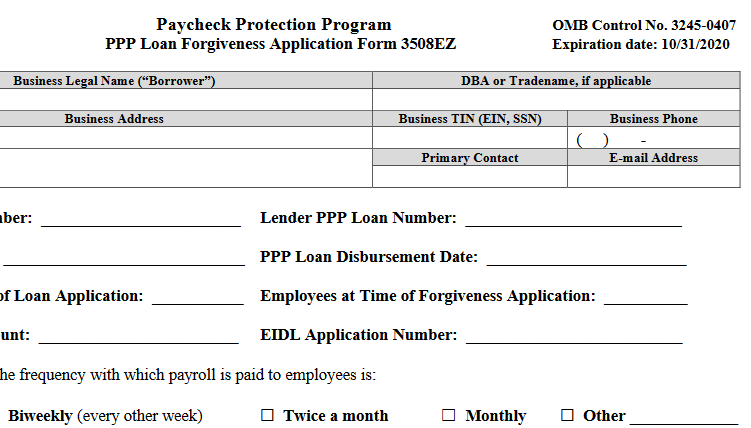 PPP EZ Form