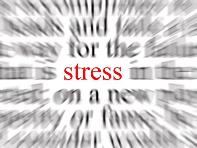 stress_2_1_.542c48d0a70af