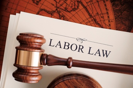 Labor_Employment_Law_2013_IMEC_1_.5436d26939c59