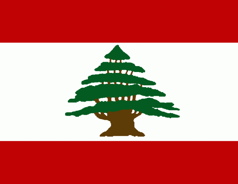 lebflag large 1  564a5100671e8