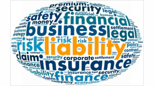 liability_insurance_557x362_1_.546d3e4c89a81[1]